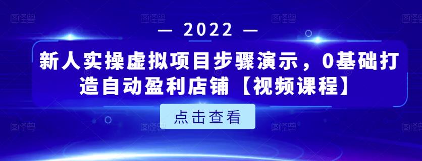 新人实操虚拟项目步骤演示，0基础打造自动盈利店铺【视频课程】-飞秋社