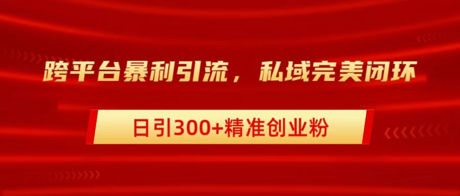 跨平台暴力引流，私域完美闭环，日引300+精准创业粉-飞秋社