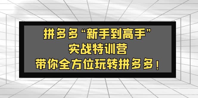 拼多多“新手到高手”实战特训营：带你全方位玩转拼多多-飞秋社