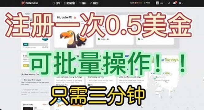 国外项目注册一次0.5美金 只需三分钟无脑操作 可批量放大 小白工作室福利-飞秋社