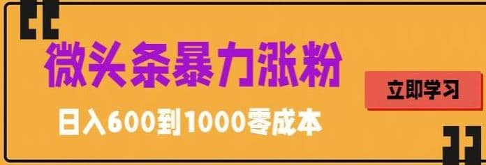 微头条暴力涨粉技巧搬运文案就能涨几万粉丝，简单0成本，日赚600-飞秋社