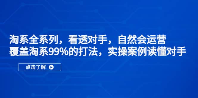 淘系全系列，看透对手，自然会运营，覆盖淘系99%·打法，实操案例读懂对手-飞秋社