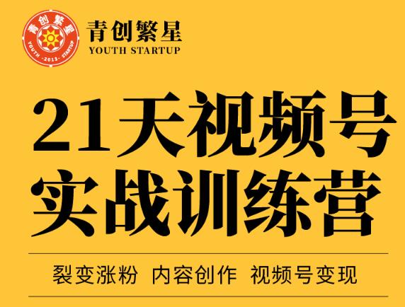 张萌21天视频号实战训练营，裂变涨粉、内容创作、视频号变现 价值298元-飞秋社