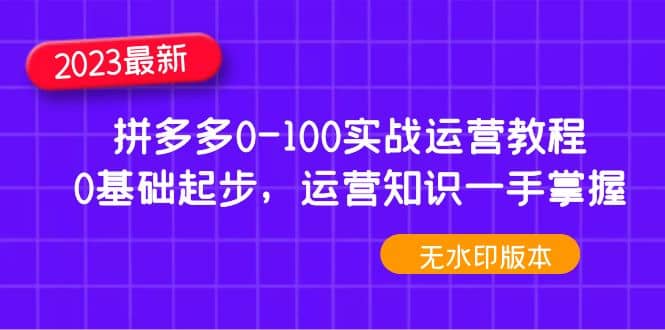 2023拼多多0-100实战运营教程，0基础起步，运营知识一手掌握（无水印）-飞秋社