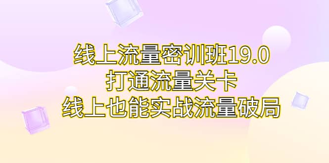 线上流量密训班19.0，打通流量关卡，线上也能实战流量破局-飞秋社