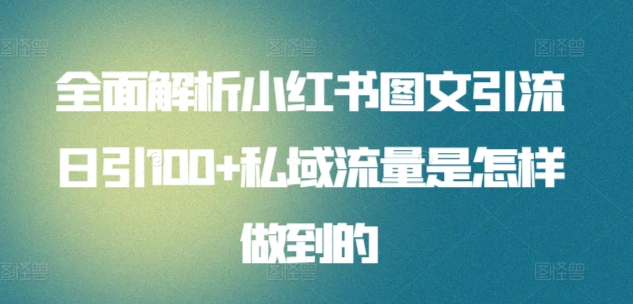 日引流100私域流量小红书图文是怎样做到的全面解析-飞秋社