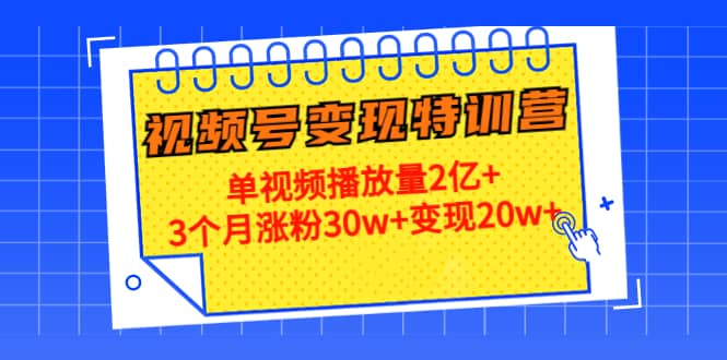 20天视频号变现特训营：单视频播放量2亿+-飞秋社