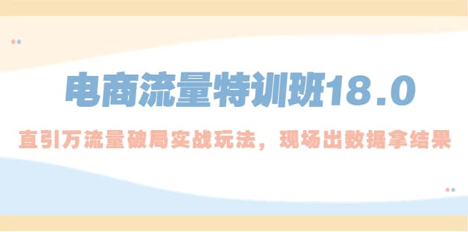 电商流量特训班18.0，直引万流量破局实操玩法，现场出数据拿结果-飞秋社