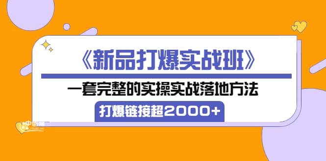 《新品打爆实战班》一套完整的实操实战落地方法，打爆链接超2000+（38节课)-飞秋社