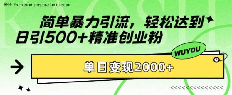 简单暴力引流轻松达到日引500+精准创业粉，单日变现2k【揭秘】-飞秋社