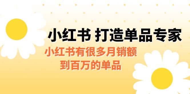 某公众号付费文章《小红书 打造单品专家》小红书有很多月销额到百万的单品-飞秋社