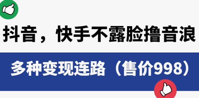 抖音，快手不露脸撸音浪项目，多种变现连路（售价998）-飞秋社