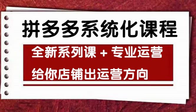 车神陪跑，拼多多系统化课程，全新系列课+专业运营给你店铺出运营方向-飞秋社