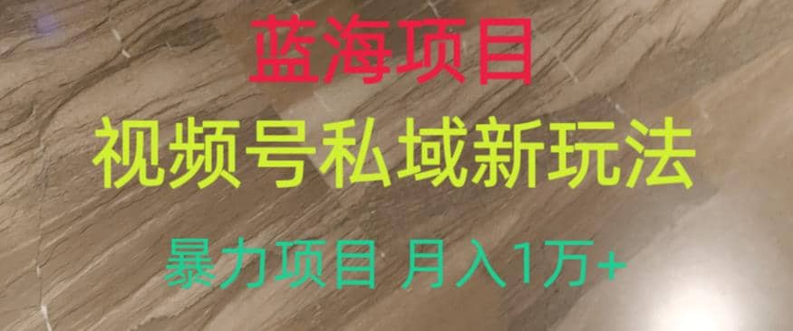 蓝海项目，视频号私域新玩法，暴力项目月入1万+【揭秘】-飞秋社