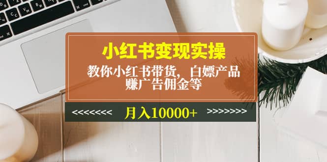 小红书变现实操：教你小红书带货，白嫖产品，赚广告佣金等-飞秋社