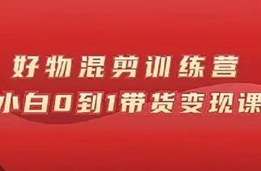 万三好物混剪训练营：小白0到1带货变现课-飞秋社