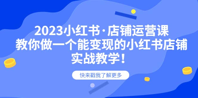 2023小红书·店铺运营课，教你做一个能变现的小红书店铺，20节-实战教学-飞秋社