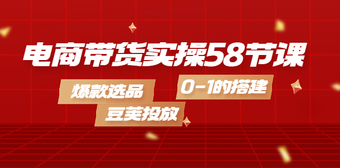 电商带货实操58节课，爆款选品，豆荚投放，0-1的搭建-飞秋社