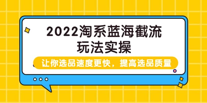 2022淘系蓝海截流玩法实操：让你选品速度更快，提高选品质量（价值599）-飞秋社