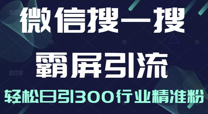 微信搜一搜霸屏引流课，打造被动精准引流系统，轻松日引300行业精准粉【无水印】-飞秋社