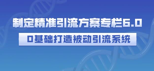 制定精准引流方案专栏6.0，0基础打造被动引流系统-飞秋社