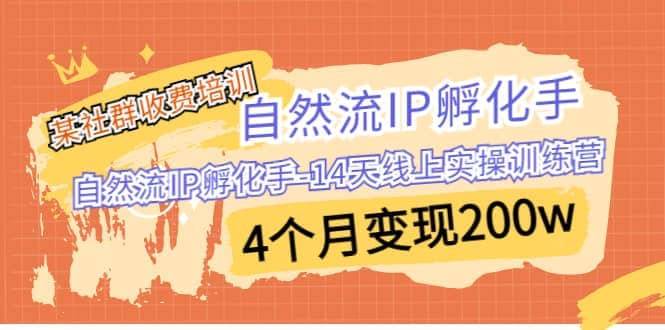 某社群收费培训：自然流IP 孵化手-14天线上实操训练营 4个月变现200w-飞秋社