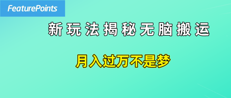 简单操作，每天50美元收入，搬运就是赚钱的秘诀！-飞秋社