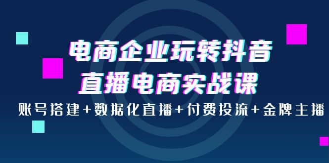 电商企业玩转抖音直播电商实战课：账号搭建+数据化直播+付费投流+金牌主播-飞秋社