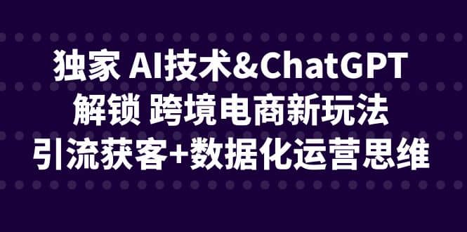 独家 AI技术ChatGPT解锁 跨境电商新玩法，引流获客+数据化运营思维-飞秋社