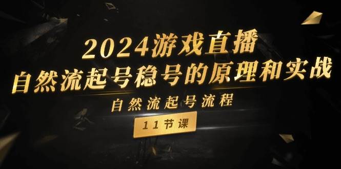 2024游戏直播-自然流起号稳号的原理和实战，自然流起号流程（11节）-飞秋社