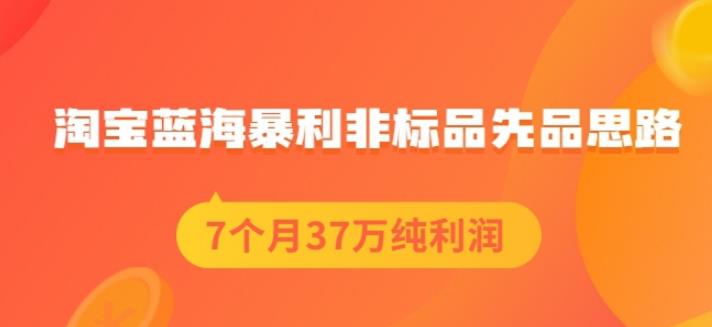 盗坤淘宝蓝海暴利非标品先品思路，7个月37万纯利润，压箱干货分享！【付费文章】-飞秋社