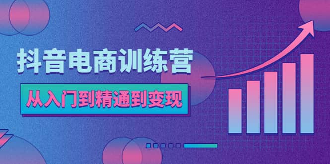 抖音电商训练营：从入门到精通，从账号定位到流量变现，抖店运营实操-飞秋社