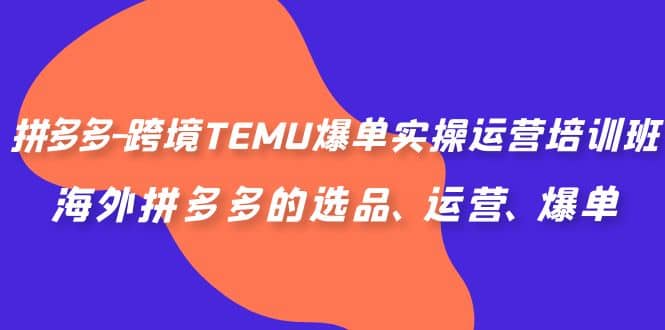 拼多多-跨境TEMU爆单实操运营培训班，海外拼多多的选品、运营、爆单-飞秋社