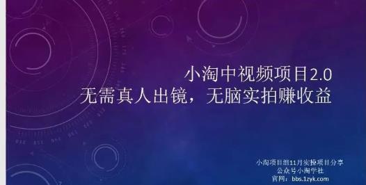 小淘项目组网赚永久会员，绝对是具有实操价值的，适合有项目做需要流程【持续更新】-飞秋社