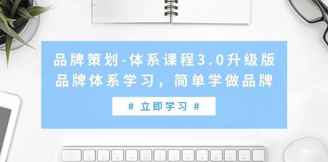 品牌策划-体系课程3.0升级版，品牌体系学习，简单学做品牌（高清无水印）-飞秋社