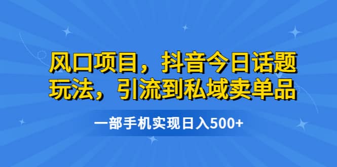 风口项目，抖音今日话题玩法，引流到私域卖单品，一部手机实现日入500+-飞秋社