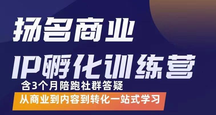 杨名商业IP孵化训练营，从商业到内容到转化一站式学 价值5980元-飞秋社