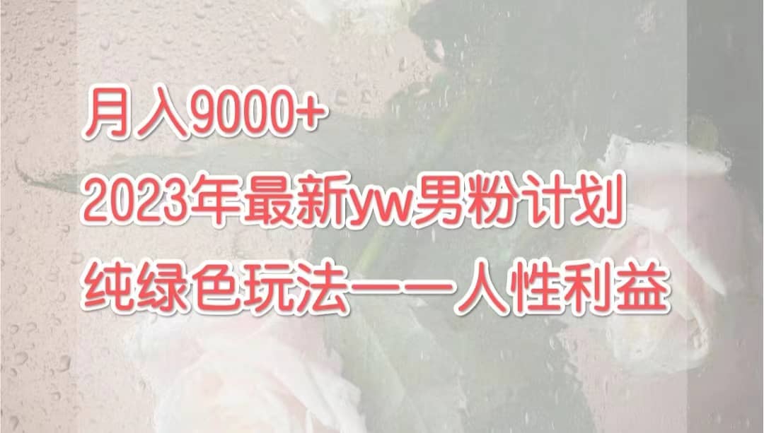 月入9000+2023年9月最新yw男粉计划绿色玩法——人性之利益-飞秋社