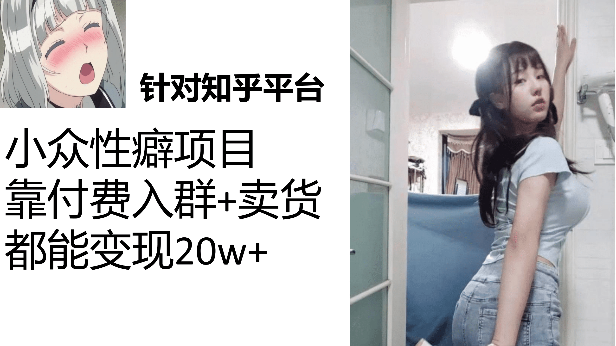 知乎小众性癖项目，Lsp的钱才是最好赚的，付费建群+卖货变现20w-飞秋社