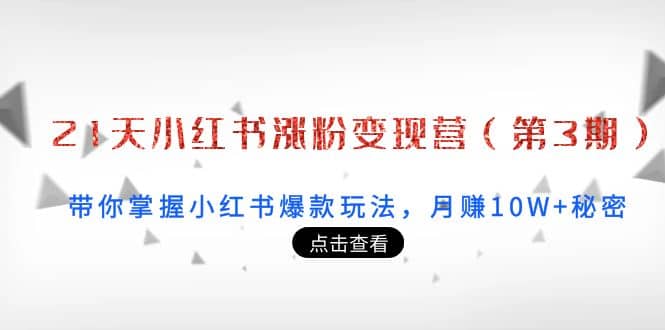 21天小红书涨粉变现营（第3期）：带你掌握小红书爆款玩法，月赚10W+秘密-飞秋社