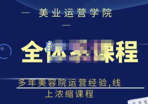 网红美容院全套营销落地课程，多年美容院运营经验，线上浓缩课程-飞秋社