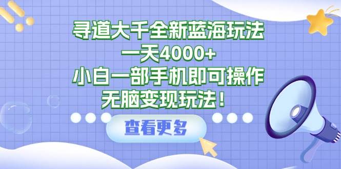 寻道大千全新蓝海玩法，一天4000+，小白一部手机即可操作，无脑变现玩法！-飞秋社