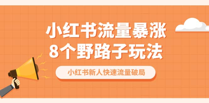 小红书流量-暴涨8个野路子玩法：小红书新人快速流量破局（8节课）-飞秋社