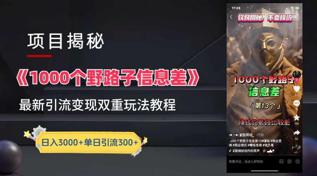 一千个野路子信息差24年最新玩法教程附带变现方法和引流的玩法具体拆解-飞秋社
