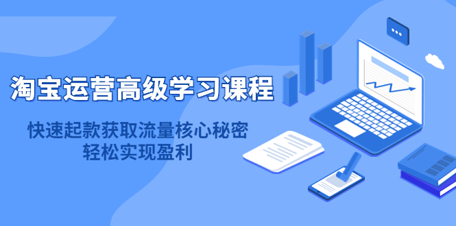 淘宝运营高级学习课程：快速获取流量核心秘密，轻松实现盈利！-飞秋社