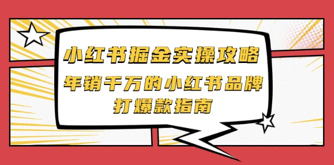 小红书掘金实操攻略，年销千万的小红书品牌打爆款指南-飞秋社