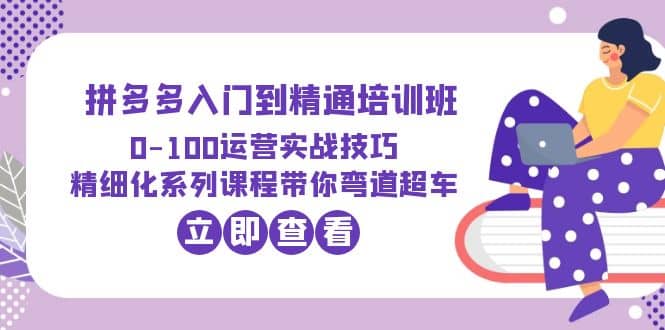 2023拼多多入门到精通培训班：0-100运营实战技巧 精细化系列课带你弯道超车-飞秋社