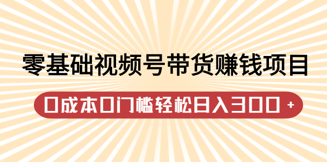 零基础视频号带货赚钱项目，0成本0门槛轻松日入300+【视频教程】-飞秋社