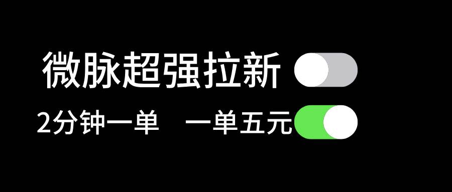 微脉超强拉新， 两分钟1单， 一单利润5块，适合小白-飞秋社