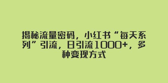 揭秘流量密码，小红书“每天系列”引流，日引流1000+，多种变现方式-飞秋社